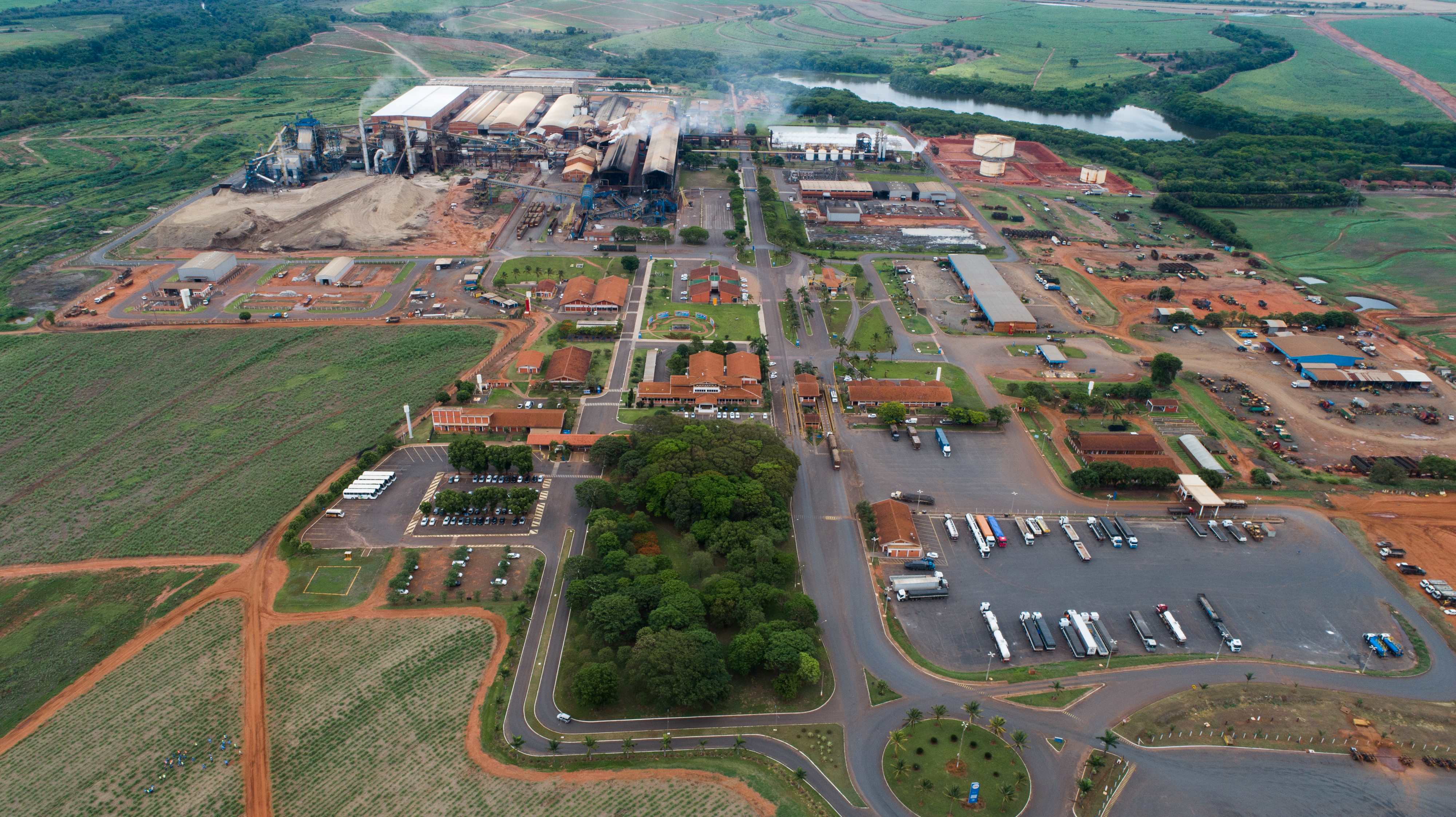 Tereos prevê crescimento de 10% na safra 23/24 e deve processar 19 milhões de toneladas de cana-de-açúcar